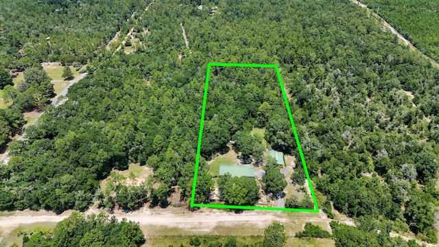 101 Malloy Ln, Defuniak Springs, FL 32433 - photo 38