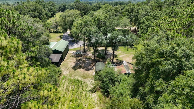 101 Malloy Ln, Defuniak Springs, FL 32433 - photo 40