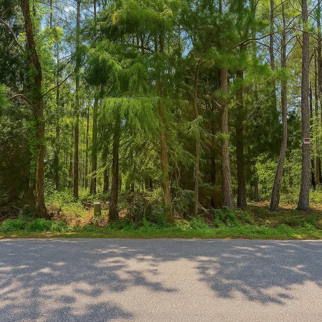 LOT2 Dolphin Cv, Freeport, FL 32439