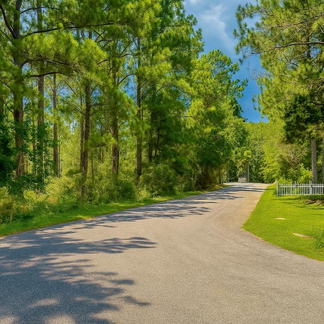 LOT2 Dolphin Cv, Freeport, FL 32439