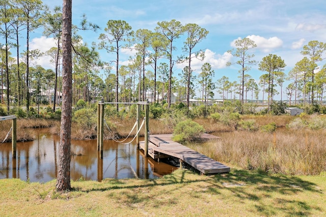 121 W Nursery Rd, Santa Rosa Beach, FL 32459 - photo 9