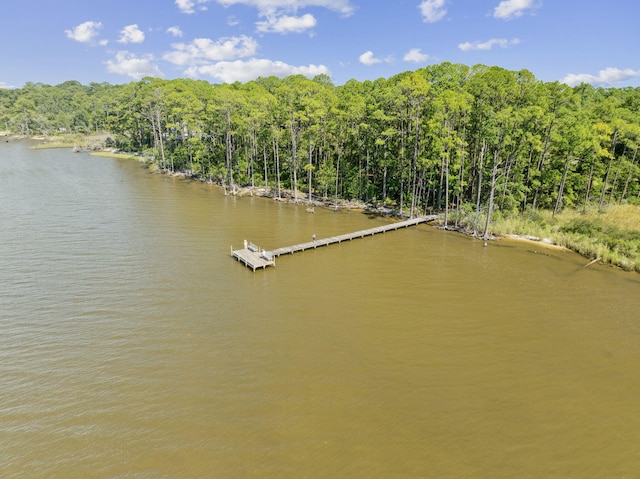 207 Bay Trce, Santa Rosa Beach, FL 32459 - photo 57