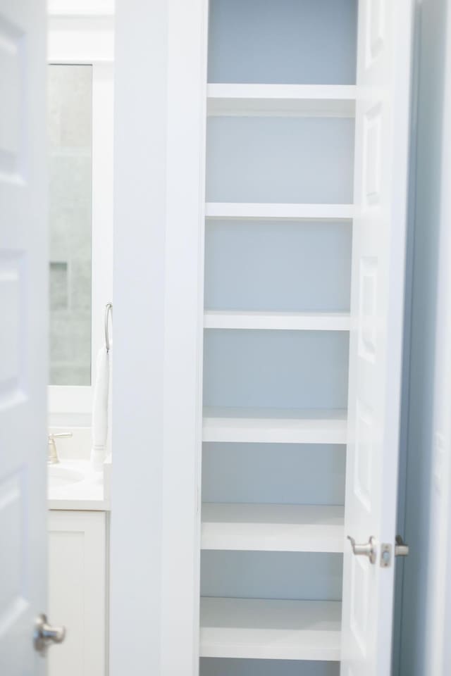209 Milestone Dr Unit A, Inlet Beach, FL 32461 - view of closet