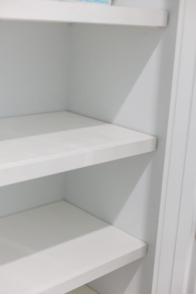 209 Milestone Dr Unit A, Inlet Beach, FL 32461 - view of closet
