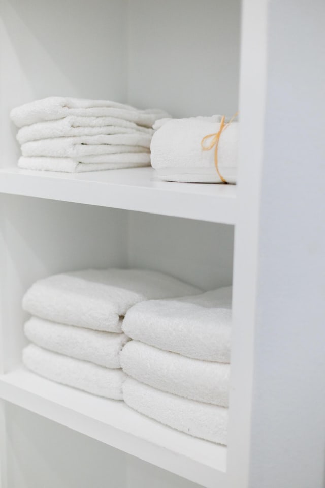 209 Milestone Dr Unit A, Inlet Beach, FL 32461 - view of closet