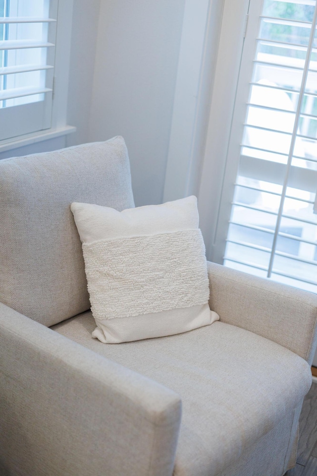 209 Milestone Dr Unit A, Inlet Beach, FL 32461 - view of living area