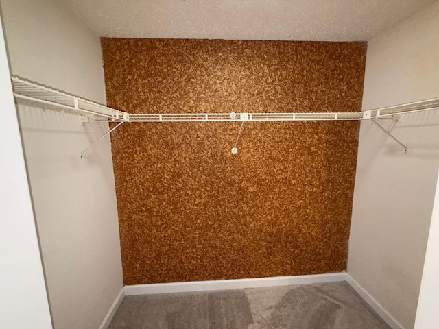905 Cloverdale Ct, Fort Walton Beach, FL 32547 - spacious closet featuring carpet floors