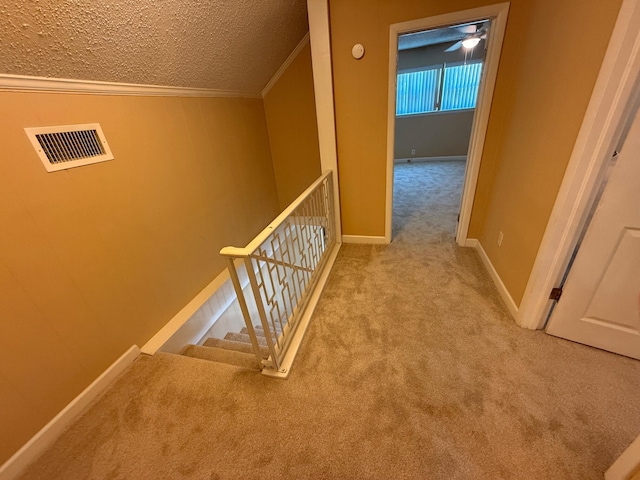 905 Cloverdale Ct, Fort Walton Beach, FL 32547 - hall featuring carpet, a textured ceiling, and crown molding