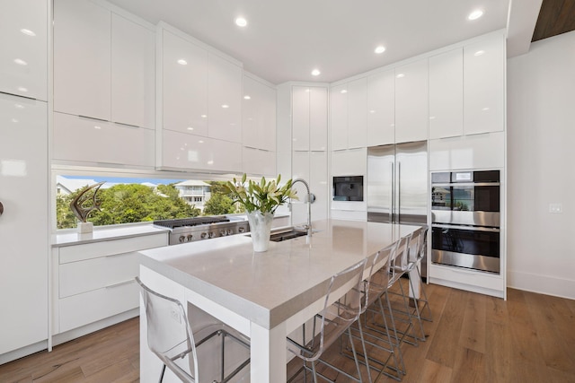 21 Scuttle Hole Rd, Santa Rosa Beach, FL 32459 - kitchen featuring modern cabinets, stainless steel appliances, white cabinetry, light wood-style floors, and recessed lighting