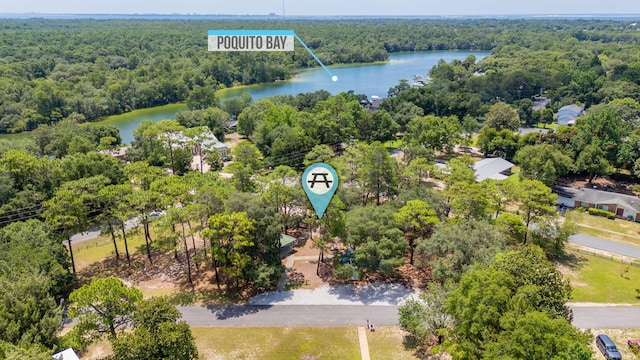 22 James Ave, Shalimar, FL 32579 - bird's eye view of a large body of water and a forest