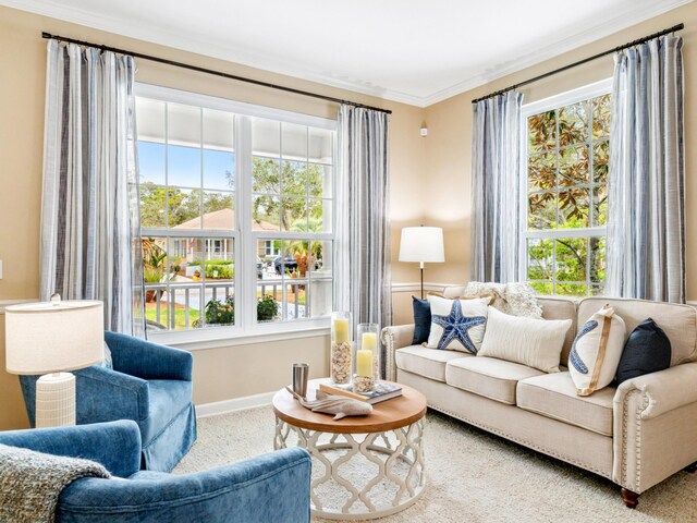 246 Seabreeze Ct, Inlet Beach, FL 32461 - living room with plenty of natural light, carpet flooring, and crown molding