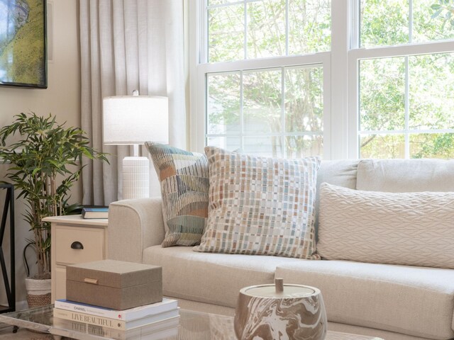 246 Seabreeze Ct, Inlet Beach, FL 32461 - view of living area