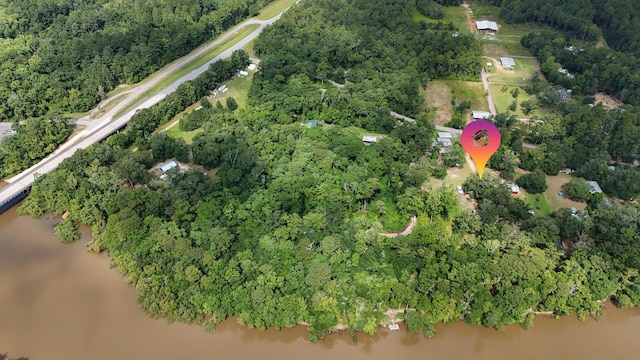 70 River Loop, Ponce De Leon, FL 32455 - view of property location with a nearby body of water and a forest