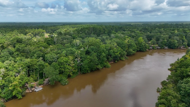 70 River Loop, Ponce De Leon, FL 32455 - bird's eye view of a forest and a large body of water