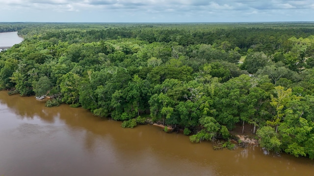 70 River Loop, Ponce De Leon, FL 32455 - bird's eye view of a heavily wooded area and a nearby body of water