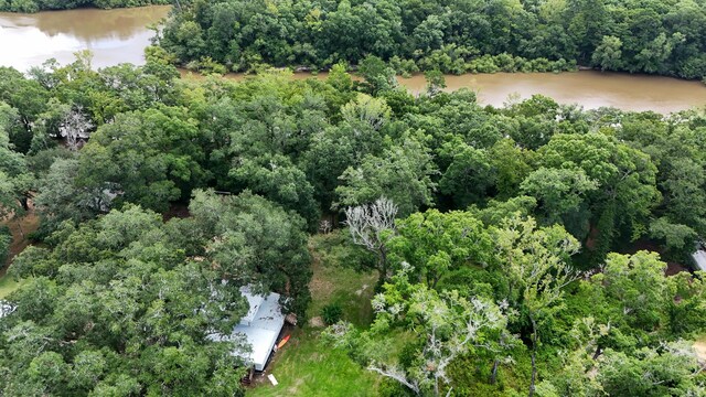 70 River Loop, Ponce De Leon, FL 32455 - view of property location with a large body of water and a forest