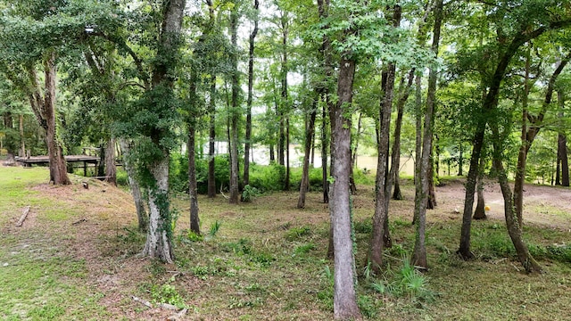 70 River Loop, Ponce De Leon, FL 32455 - view of local wilderness