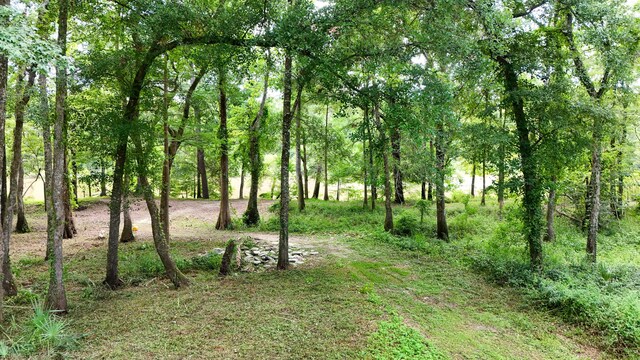 70 River Loop, Ponce De Leon, FL 32455 - view of yard