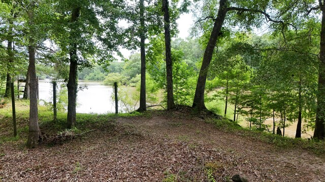 70 River Loop, Ponce De Leon, FL 32455 - water view