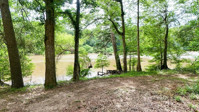 70 River Loop, Ponce De Leon, FL 32455 - view of yard