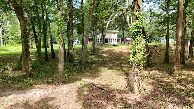 70 River Loop, Ponce De Leon, FL 32455 - view of yard
