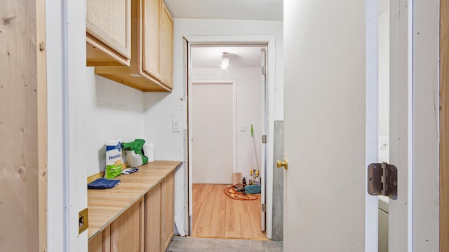 70 River Loop, Ponce De Leon, FL 32455 - corridor featuring light wood-style flooring