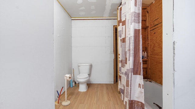 70 River Loop, Ponce De Leon, FL 32455 - bathroom featuring wood finished floors and a bathtub