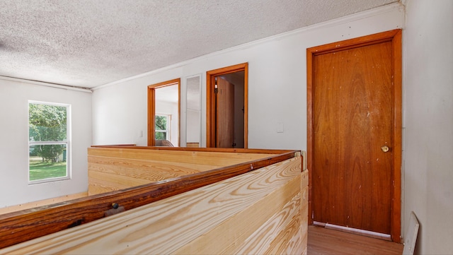 70 River Loop, Ponce De Leon, FL 32455 - hallway with a textured ceiling, wood finished floors, and ornamental molding