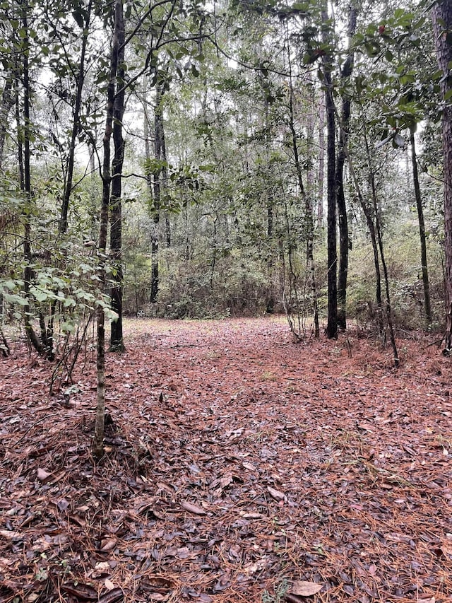 5040 Antioch Rd, Crestview, FL 32536 - photo 11