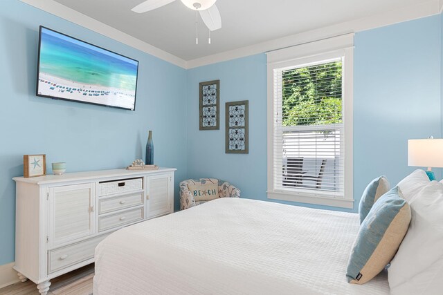 43 Ciboney St, Miramar Beach, FL 32550 - photo 25