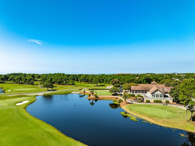 750 N Indigo Loop, Miramar Beach, FL 32550 - photo 53
