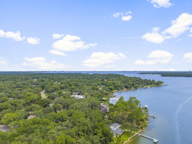 1001 Bayshore Dr, Niceville, FL 32578 - photo 46
