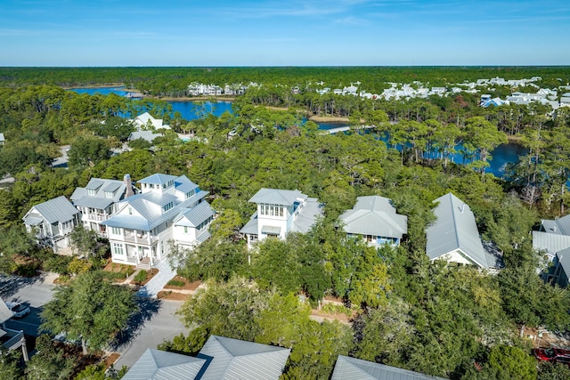 621 Western Lake Dr, Santa Rosa Beach, FL 32459 - photo 66