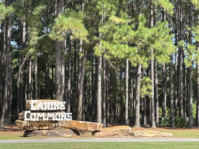 96 Mary Ellen Way, Freeport, FL 32439 - photo 31