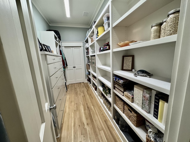 209 Dune Crest Ln, Panama City Beach, FL 32413 - spacious closet featuring light wood-type flooring