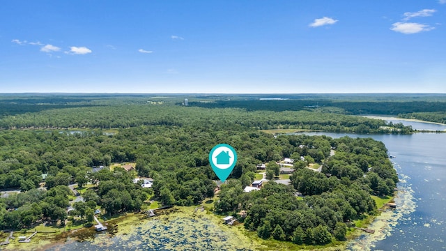 395 Lake Holley Cir, Defuniak Springs, FL 32433 - photo 63