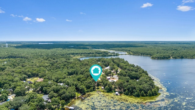 395 Lake Holley Cir, Defuniak Springs, FL 32433 - photo 64