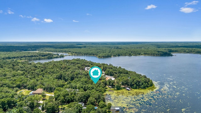 395 Lake Holley Cir, Defuniak Springs, FL 32433 - photo 65