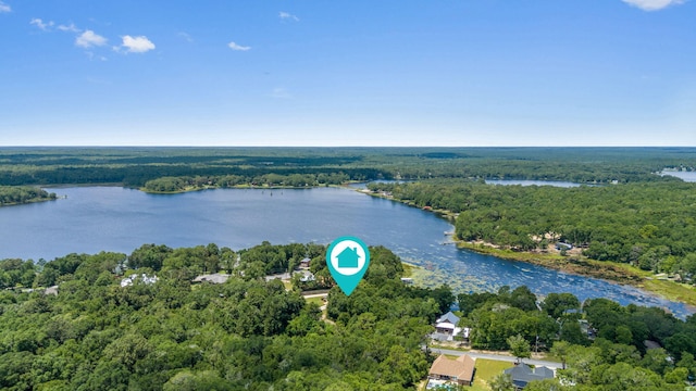 395 Lake Holley Cir, Defuniak Springs, FL 32433 - photo 67