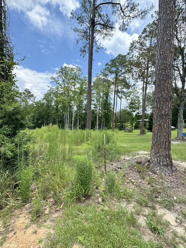 5268 State Highway 83, Defuniak Springs, FL 32433 - photo 2