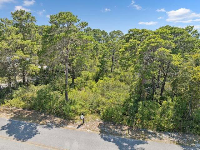 LOT14 Hillcrest Rd, Santa Rosa Beach, FL 32459 - photo 6