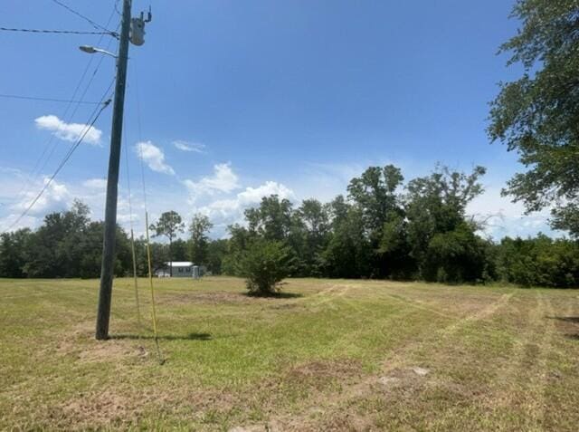 2032 Brogdon St, Grand Ridge, FL 32442 - view of green lawn