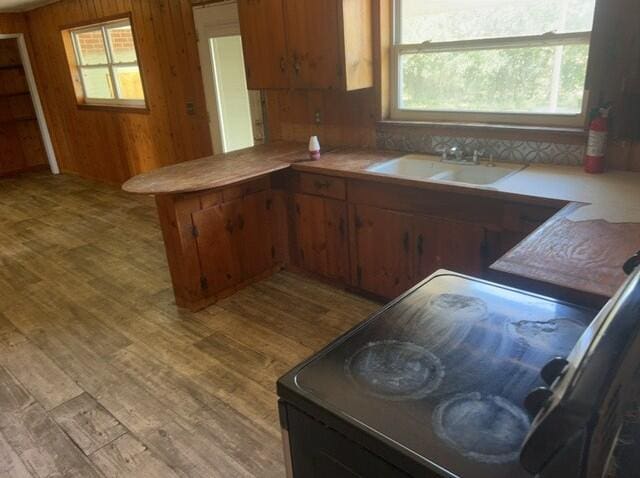 2032 Brogdon St, Grand Ridge, FL 32442 - kitchen with plenty of natural light, a peninsula, wood finished floors, light countertops, and wood walls