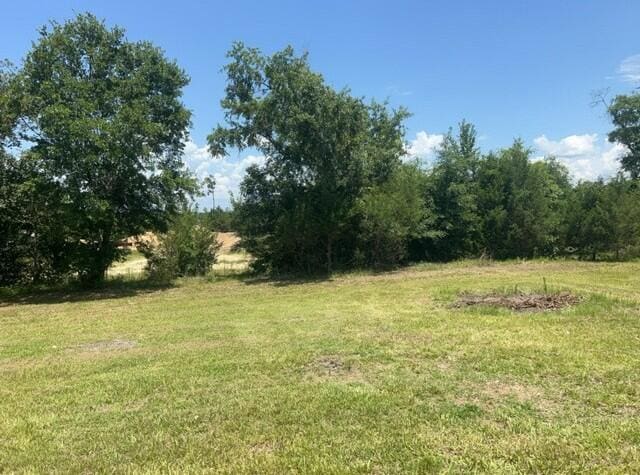 2032 Brogdon St, Grand Ridge, FL 32442 - view of grassy yard