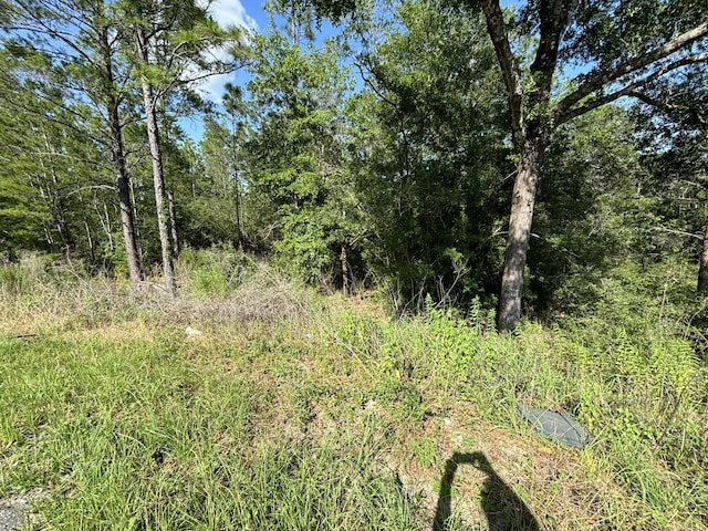 0 E White Rose St, Defuniak Springs, FL 32433 - photo 2