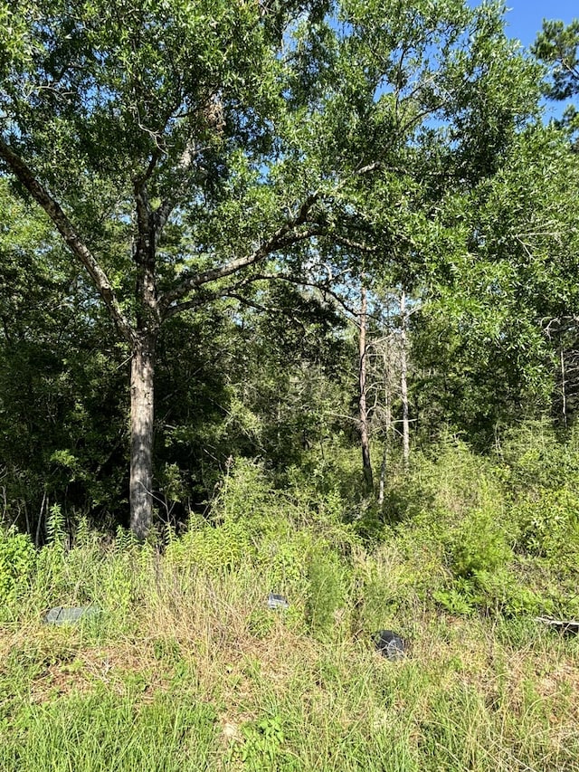 0 E White Rose St, Defuniak Springs, FL 32433 - photo 3