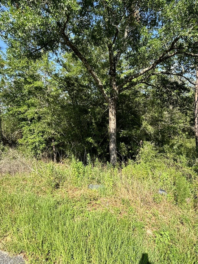 0 E White Rose St, Defuniak Springs, FL 32433 - photo 4