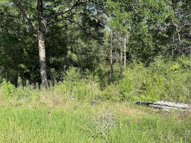 0 E White Rose St, Defuniak Springs, FL 32433 - photo 5