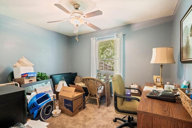 314 Peggy Dr, Crestview, FL 32536 - photo 25