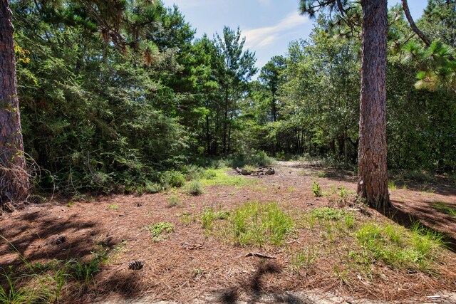 2190 River Birch Rd, Gulf Breeze, FL 32563 - photo 43